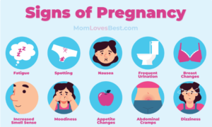 Early signs of pregnancy 