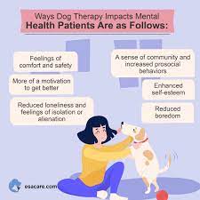The Benefits of Pet Therapy for Emotional and Physical Health