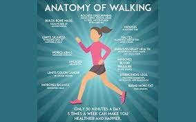 Walking for Health: The Underrated Exercise